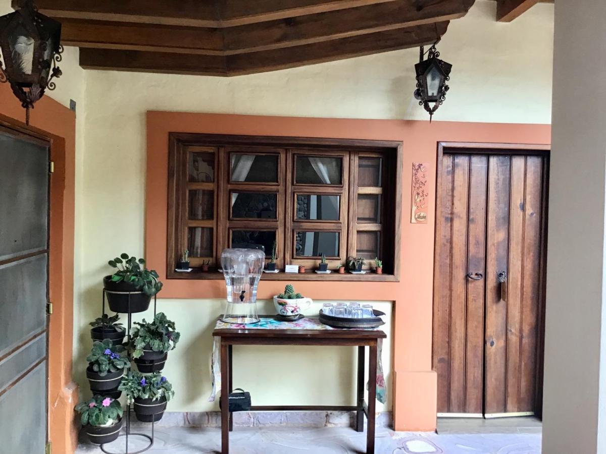Casa Tia Anita, Hotel Boutique Mascota Exterior photo